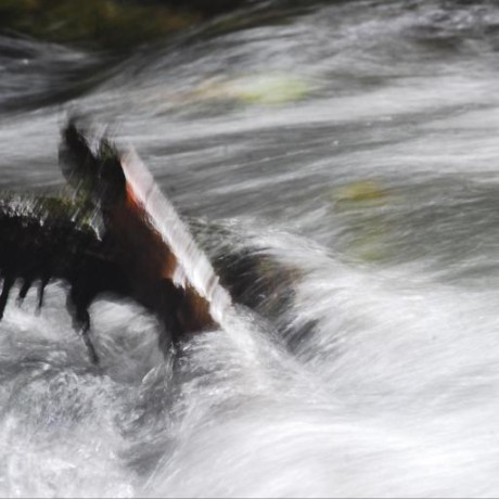 Github Premshay Roo Code Autonomous Coding Agent Right In Your Ide - Premium Mountain Photo Gallery - 4K