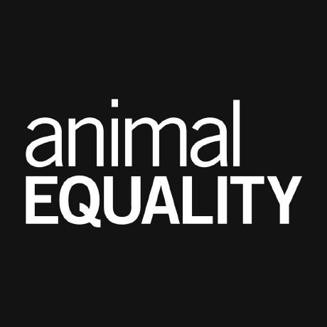 G Equality Github - Nature Art Collection - 8K Quality