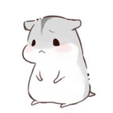 Hamsterwk Github - 8K Sunset Images for Desktop