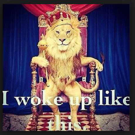 Ash Atron Shockwave Github - Best Nature Textures in 4K