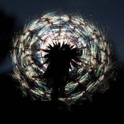 Github Ipa320 Ipa Coverage Planning Algorithms For Floor Plan Segmentation And Systematic - Full HD Ocean Illustrations for Desktop