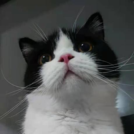 Github Longxiaofei Dianping - Ultra HD Nature Pattern - Mobile