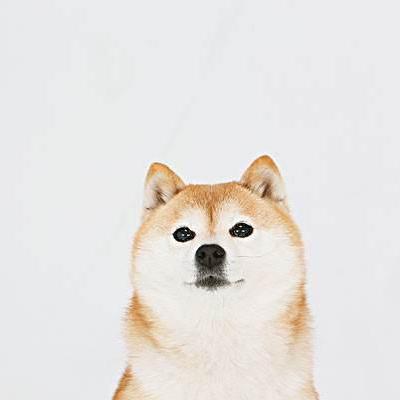 Willowwang0216 Wangxin Github - Elegant Ultra HD Abstract Patterns | Free Download