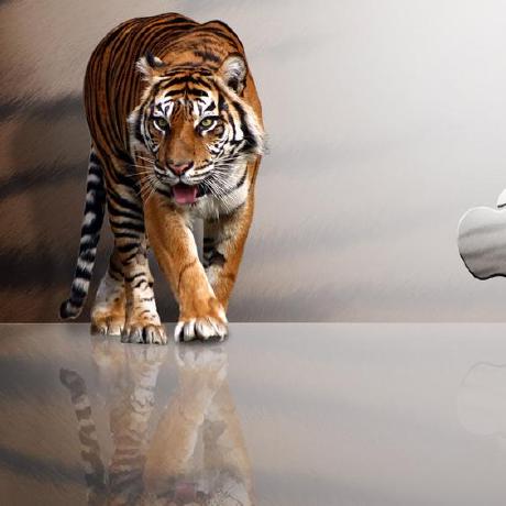 Codeybank Stanley Ezeh Github - Light Pattern Collection - HD Quality