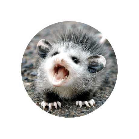 Zengrber Raber Github - Premium Mountain Design Gallery - 4K