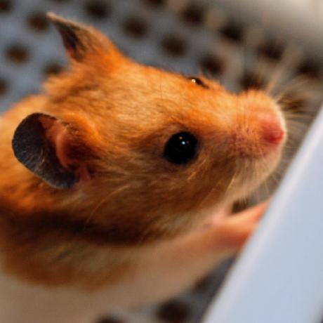 Miyabi Masayuki Iwai Github - Premium Retina Minimal Arts | Free Download