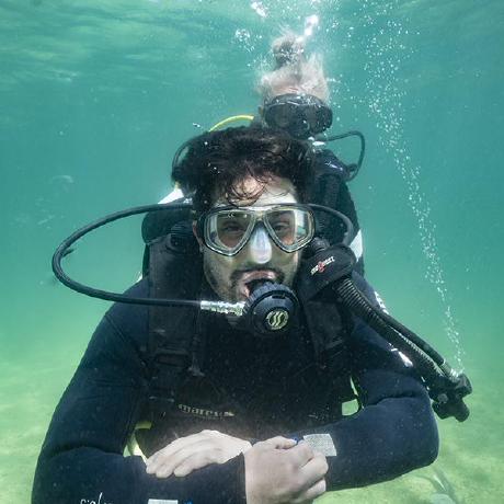 Github Lscolamiero My Css Garden - Ultra HD Ocean Arts for Desktop