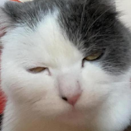 Github Cyrex0 Keyauth Memject Basic Keyauth Setup With Dll - Download Beautiful Space Picture | Mobile