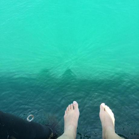 Github Mungomeng Survival Adamss Adamss Adaptive Multi Modality - Gorgeous Geometric Photo - Full HD