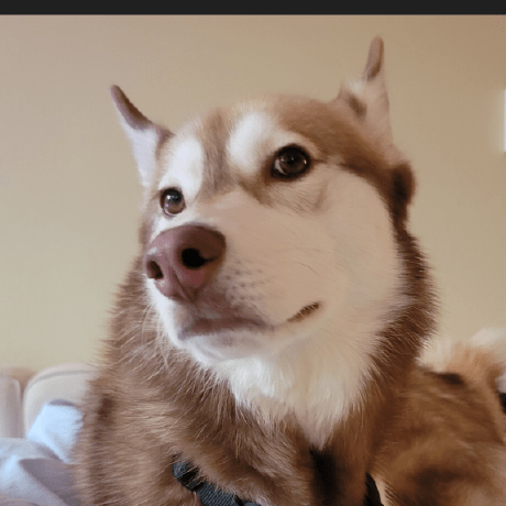 Skahler Vmware Scott Kahler Github - Nature Photos - Elegant 4K Collection