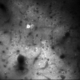 Sfkwannelson Nelson Kwan Github - Elegant 4K Space Textures | Free Download