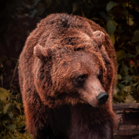 Acetolyne Jonathan Langlois Github - Premium Landscape Wallpaper Gallery - High Resolution