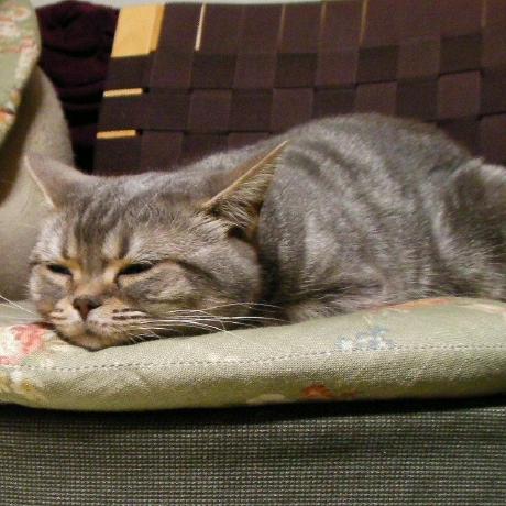 Nakadanobuhiro Tdsl Github - Modern HD City Illustrations | Free Download