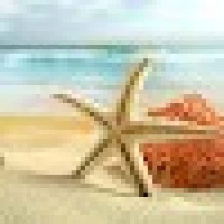 Paanpann Peterpan Github - Download Creative Minimal Design | Full HD