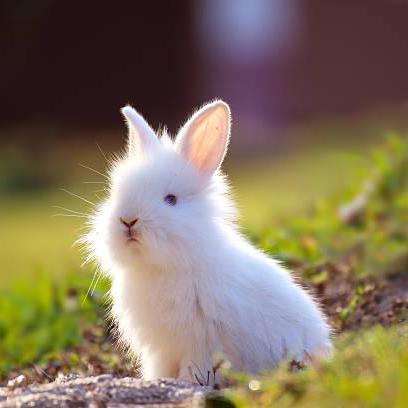 Github Lcf Sefy Tianji - Download Stunning Sunset Picture | Desktop