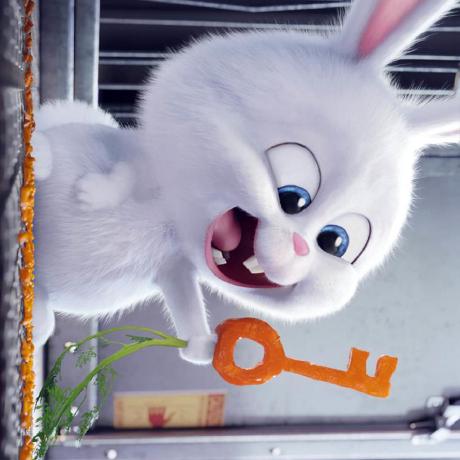 Wolata Laozhang Github - HD Minimal Designs for Desktop