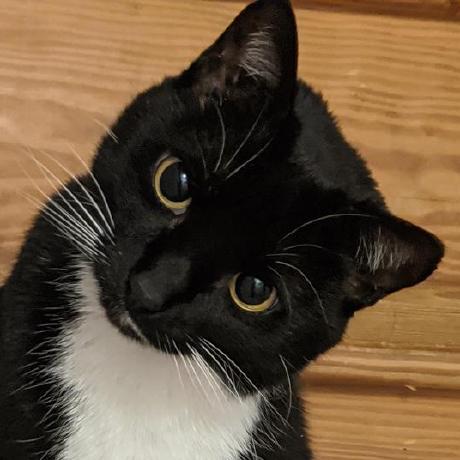 Ctgrubb Chris Grubb Github - Premium Dark Texture Gallery - 8K