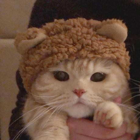 Github Yaoweibinoo Dog Simulation - Space Patterns - Amazing 8K Collection