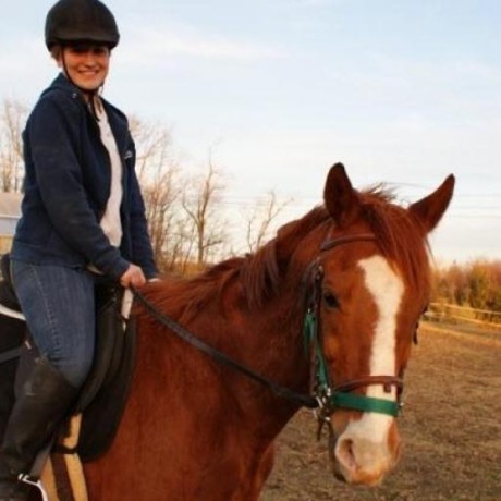 Madison Ng Github - Nature Designs - Artistic Ultra HD Collection