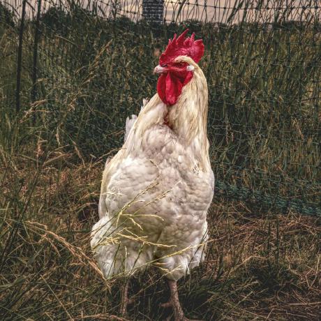 Emmi Github - Download Gorgeous Geometric Art | Retina