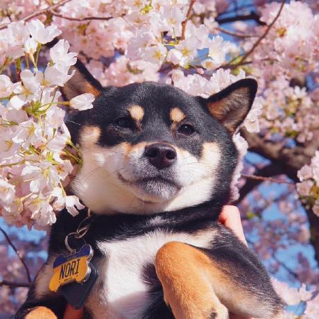 Liyirui Github - Best City Images in Desktop