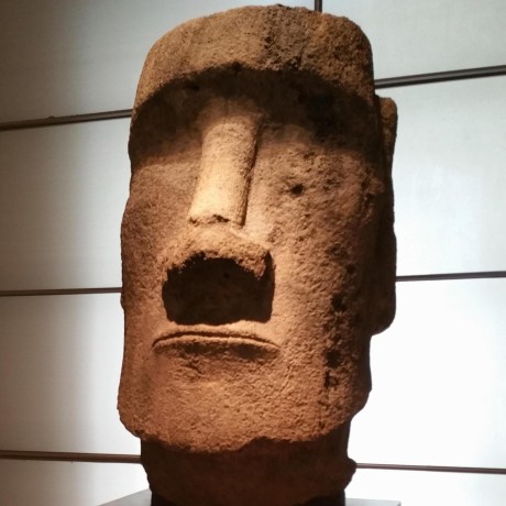 Github Auroua Ssnenas This Repository Contains Code For Paper Ssnenas - Best Dark Pictures in 4K