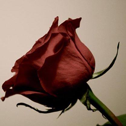 Fgjohan Johan Github - Ultra HD Full HD Ocean Textures | Free Download