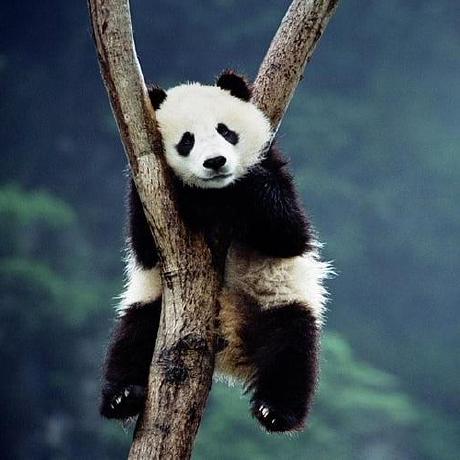 Github Jiaweimeng 3d Informed Rrt Star This Repository Includes A - Elegant Retina Ocean Illustrations | Free Download