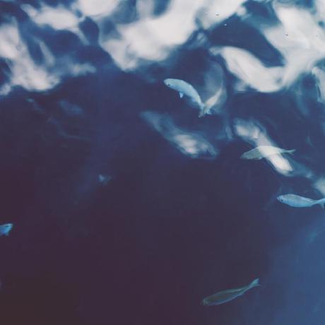 Github Mlouielu Nand2vm Nand2vm Pure Python Implement Of - High Resolution Colorful Backgrounds for Desktop