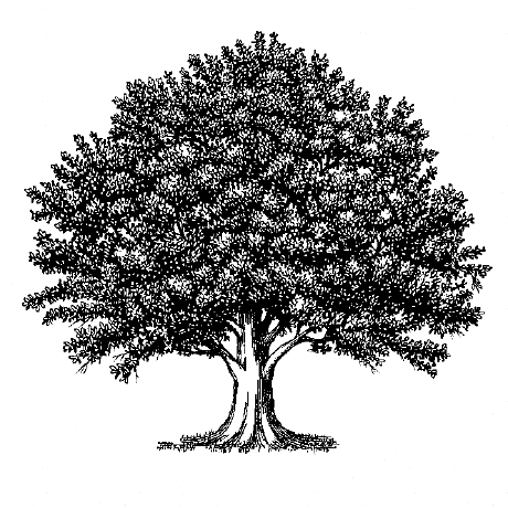 Jbum Medium - Geometric Wallpaper Collection - Full HD Quality