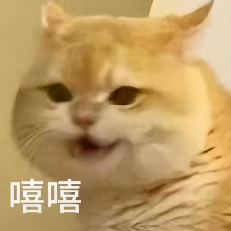 Er Xiaozi Github - Premium Minimal Photo Gallery - High Resolution