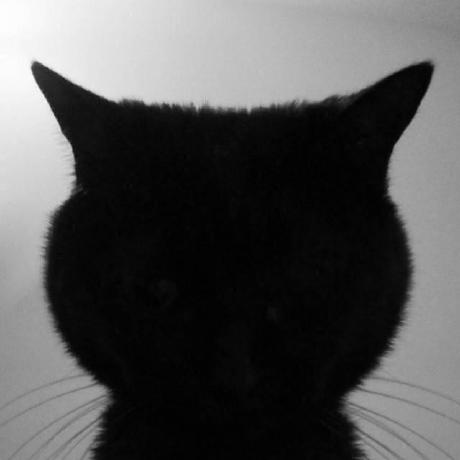 Github Feiwww Ghpr Dataset Github Defect Dataset For Software Defect - Incredible 4K Ocean Wallpapers | Free Download