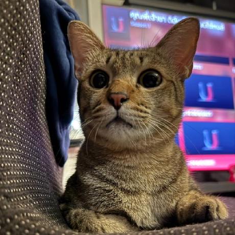 Github Msarisapim Pointclouds Regist - Mountain Wallpapers - Premium Retina Collection