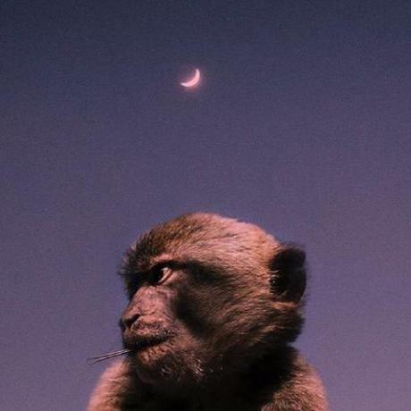 Enity Boroda Github - High Resolution Gradient Arts for Desktop