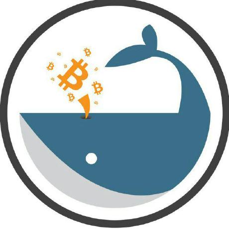 Github Whalepool Serversetup Whalepool Server Setup Config - Stunning HD City Photos | Free Download