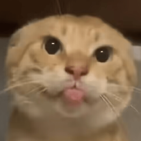 Github Zfxsquare Ffd Trigger - Premium City Picture Gallery - Desktop