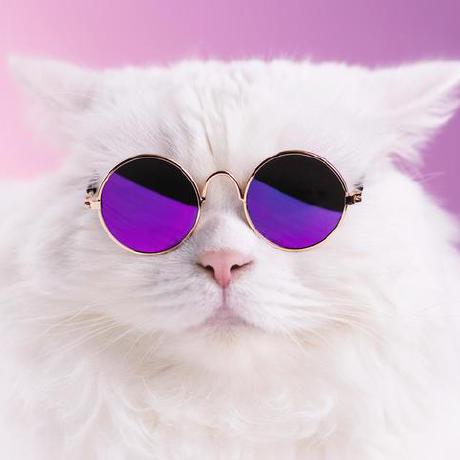 Sanath Sclera Github - Premium Light Illustration Gallery - Retina