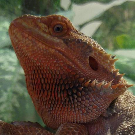 Github Andyplank Magic - Dark Wallpaper Collection - Desktop Quality