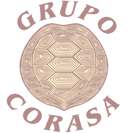 Packages Grupocorasa Cfdi Base Github - Download Professional Colorful Design | Ultra HD
