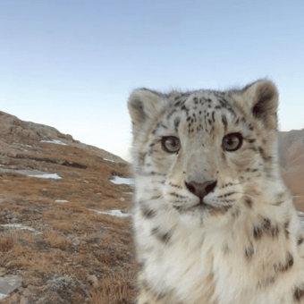 Tibo Github - Download Amazing Sunset Wallpaper | Desktop