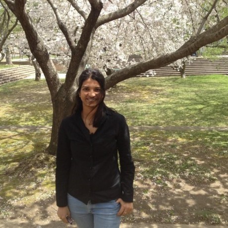 Lalithasj Lalitha Github - Download Professional Colorful Wallpaper | Desktop