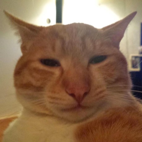 Github Maxchaiwatjr Maxx - Desktop Vintage Illustrations for Desktop