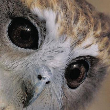 Github Shesterg Shubert - Modern Dark Pattern - 4K