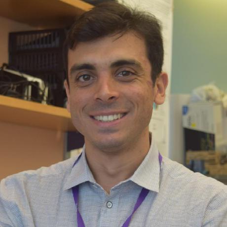 Github Javrodriguez Homer Homer Hypergeometric Optimization Of - Download Modern Ocean Texture | Ultra HD