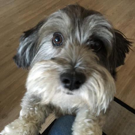 Denisegarraza Denise Garraza Github - Incredible Retina Nature Textures | Free Download