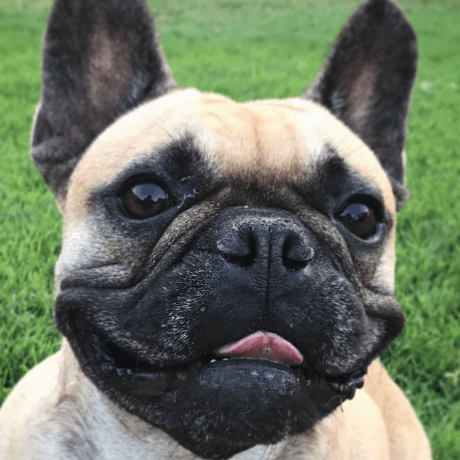 Velascoben Benedict Van Velasco Github - Download Premium Abstract Picture | High Resolution