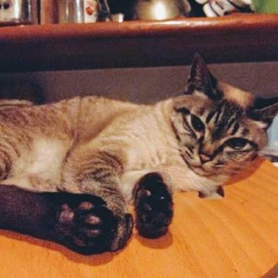 Tumugu Tsumugu Github - Ultra HD Vintage Images for Desktop