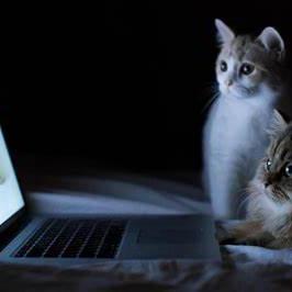 Hrotao Tao Hang Github - Professional Ocean Illustration - Mobile