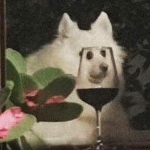 Lautaro Daniel Github - Retina City Arts for Desktop