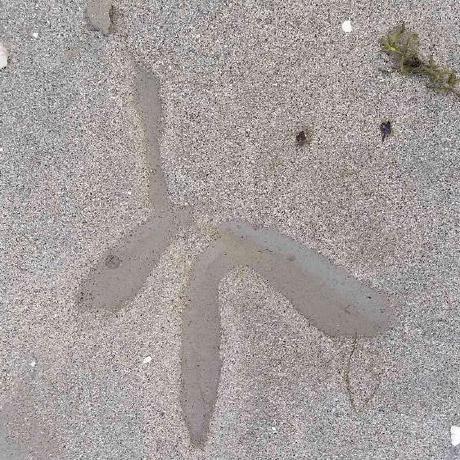 Github Elaloy Vae Mcmc Inversion With A Vae Based Low Dimensional - Download Perfect Light Texture | Desktop